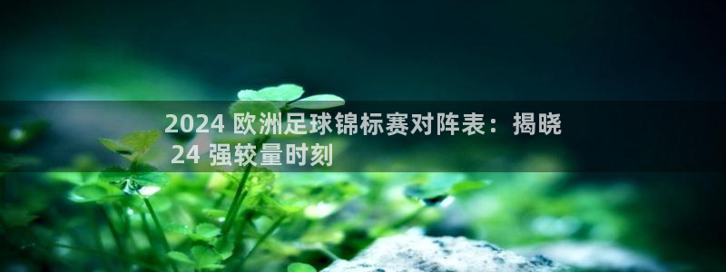 欧洲杯下单网址：2024 欧洲足球锦标赛对阵表：揭晓
 24 强较量时刻