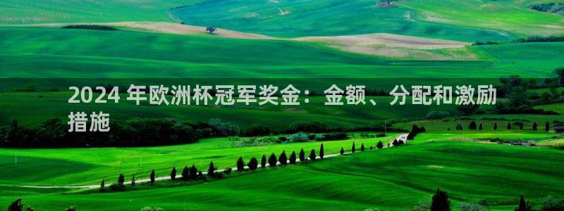 十大靠谱外围买球网站：2024 年欧洲杯冠军奖金：金额、分配和激励
措施