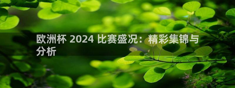 欧洲杯彩票哪里买|欧洲杯 2024 比赛盛况：精彩集锦与
分析