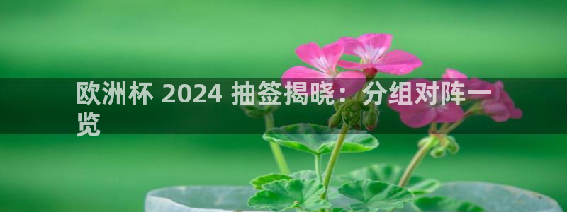 欧洲杯哪里买球靠谱|欧洲杯 2024 抽签揭晓：分组对阵一
览