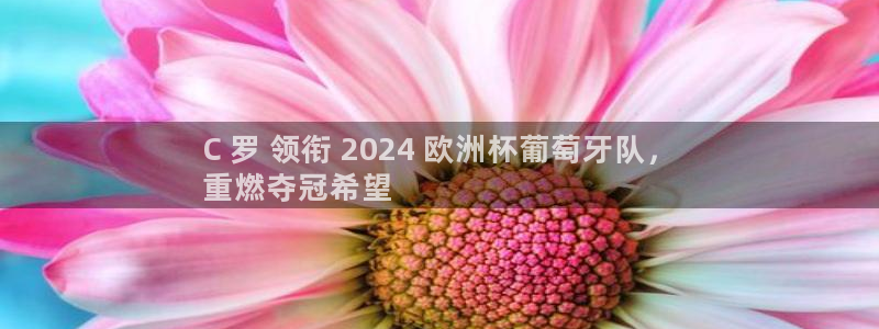 welcome欧洲杯官网|C 罗 领衔 2024 欧洲杯葡萄牙队，
重燃夺冠希望