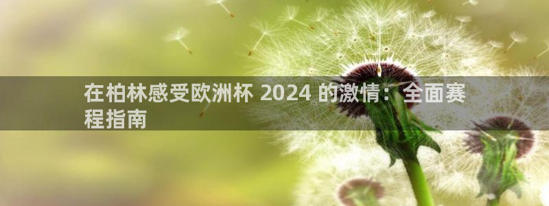 2024欧洲杯押注官网