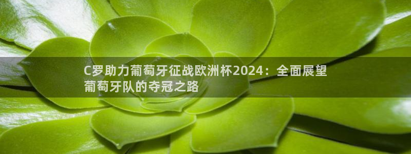 2024欧洲杯买球推荐