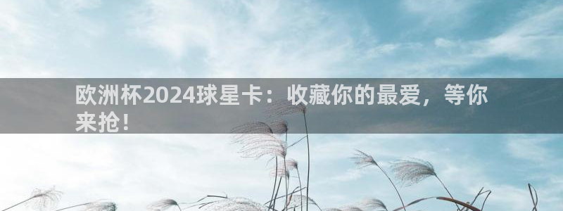 欧洲杯在哪个网站购买|欧洲杯2024球星卡：收藏你的最爱，等你
来抢！